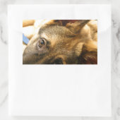 German Shepherd Rechthoekige Sticker (Tas)