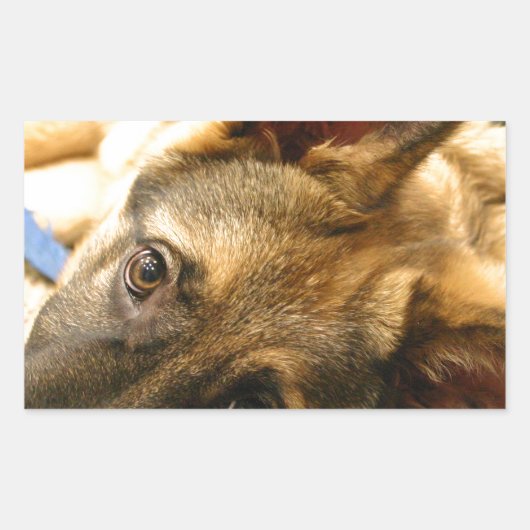 German Shepherd Rechthoekige Sticker (Voorkant)