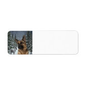 German Shepherd Return Address Labels (Voorkant)