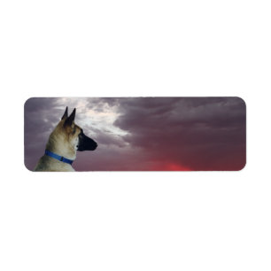 German Shepherd Return Address Labels