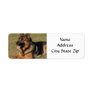 * GERMAN SHEPHERD* RETURN ADRES ETIKET