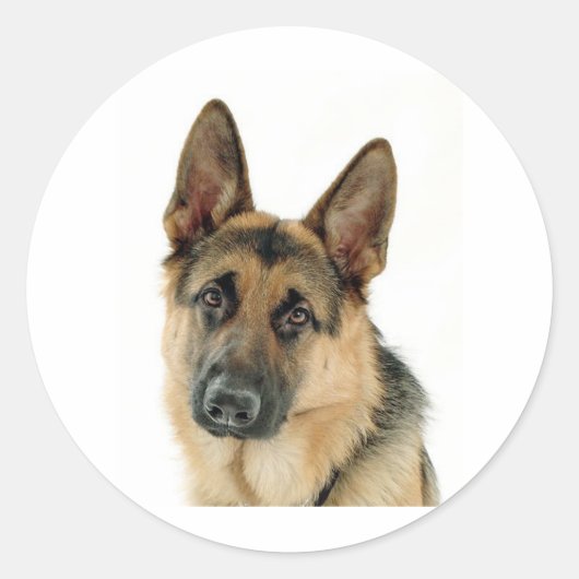 German Shepherd Ronde Sticker (Voorkant)