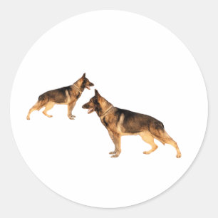 German shepherd Round Sticker