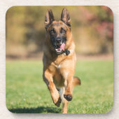 German Shepherd Running Bier Onderzetter (Voorkant)