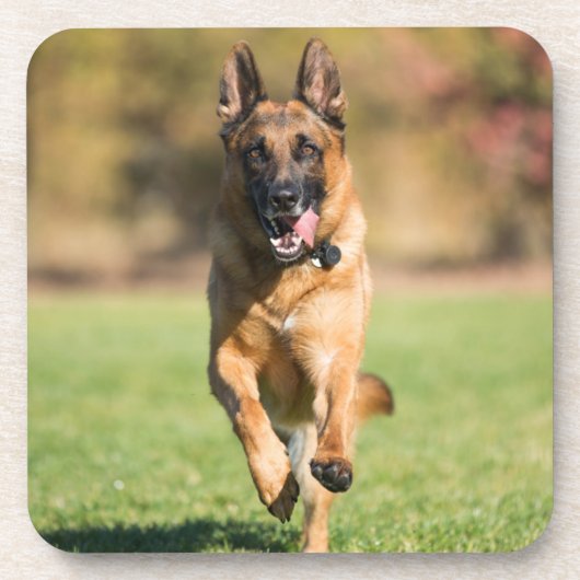 German Shepherd Running Bier Onderzetter (Voorkant)
