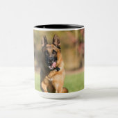 German Shepherd Running Mok (Midden)