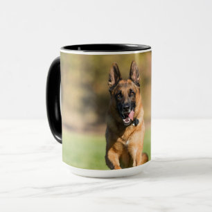 German Shepherd Running Mok