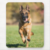 German Shepherd Running Muismat (Voorkant)