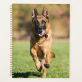 German Shepherd Running Planner (Voorkant)