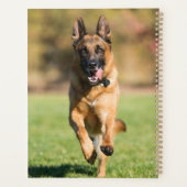 German Shepherd Running Planner (Achterkant)