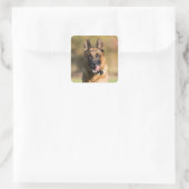 German Shepherd Running Vierkante Sticker (Tas)