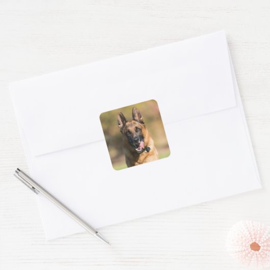German Shepherd Running Vierkante Sticker (Envelop)
