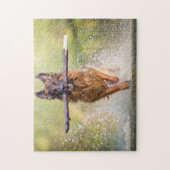 German Shepherd Running with Stick Legpuzzel (Verticaal)