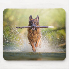 German Shepherd Running with Stick Muismat
