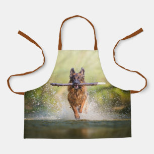 German Shepherd Running with Stick Schort