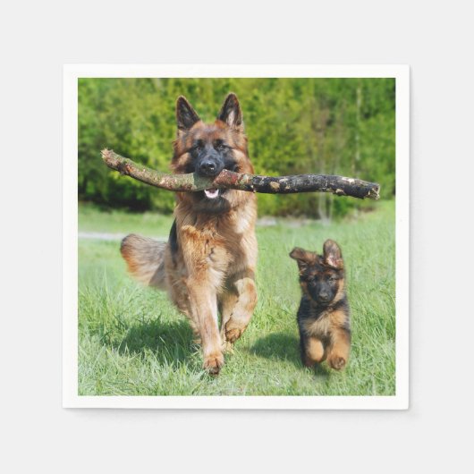 German Shepherd Servet (Voorkant)