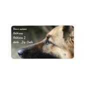 German Shepherd Shipping Labels (Voorkant)