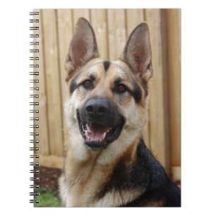 German Shepherd Sitting Notitieboek