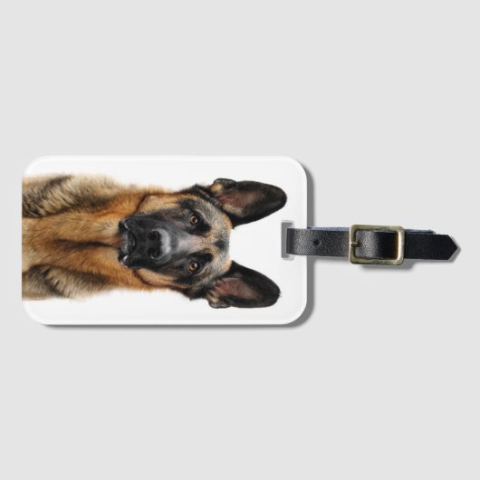 German Shepherd Sitting up Bagagelabel (Voorkant (horizontaal))