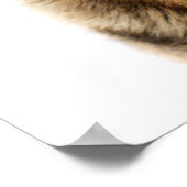 German Shepherd Sitting up Poster (Hoek)