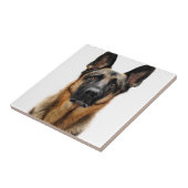 German Shepherd Sitting up Tegeltje (Zijkant)