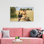 German Shepherd Sticking Tongue Canvas Afdruk (Insitu (Woonkamer))