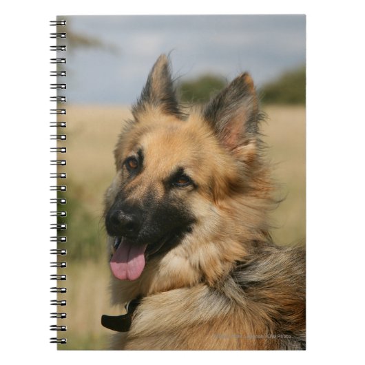 German Shepherd Sticking Tongue Notitieboek (Voorkant)