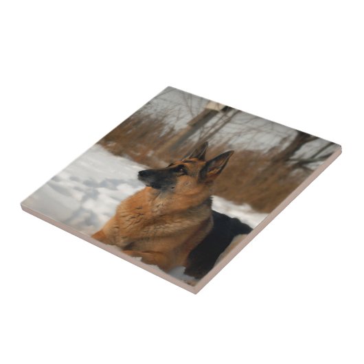 German Shepherd Tile Tegeltje (Zijkant)