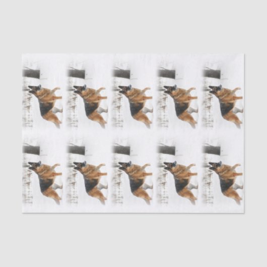 German Shepherd Tissue Paper Tissuepapier (Voorkant)