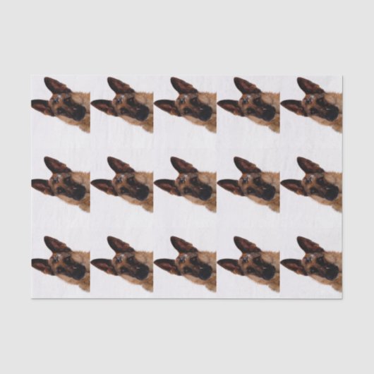 German Shepherd Tissue Paper Tissuepapier (Voorkant)