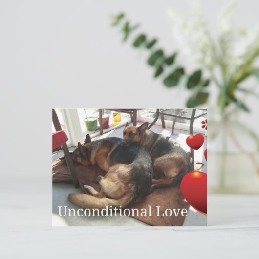German Shepherd Unconditional Love Briefkaart (Staand voorkant)