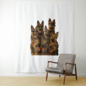 German Shepherd Wandkleed (In situ)