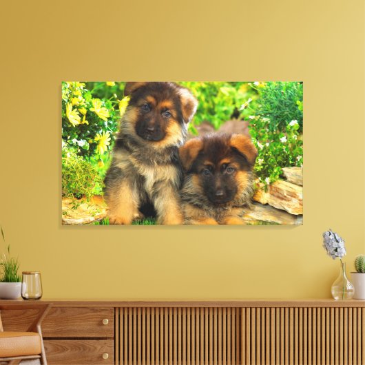 German Shepherds Canvas Afdruk (Insitu (Woonkamer))