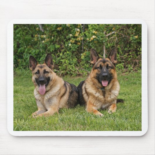 German Shepherds Muismat (Voorkant)