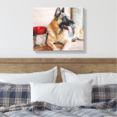 German Sheverliest Resting By Water Basin Canvas Afdruk (Insitu (Slaapkamer))