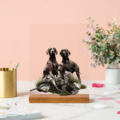 German Shorthaired Pointer (Mariage)