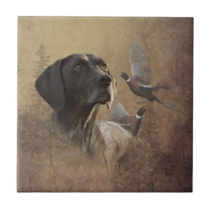 German Shorthaired Pointer,Deutsch Kurzhaar Tapes Tegeltje