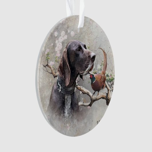 german shorthaired pointer, gsp (devant)