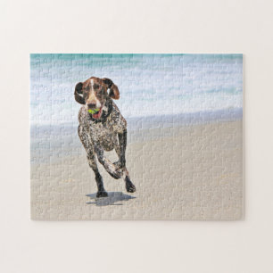 German Shorthaired Pointer - Luke - Riley Legpuzzel