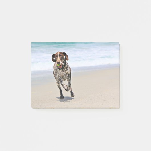 German Shorthaired Pointer - Luke - Riley Post-it® Notes (Voorkant)