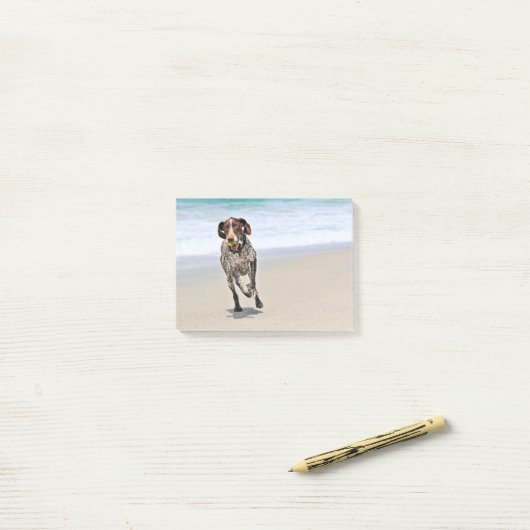 German Shorthaired Pointer - Luke - Riley Post-it® Notes (Op bureau)