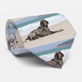 German Shorthaired Pointer - Luke - Riley Stropdas (Opgerold)