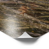 German Shorthaired Pointers  Foto Afdruk (Hoek)