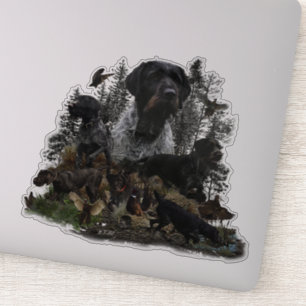 German Wirehaered Pointer Sticker