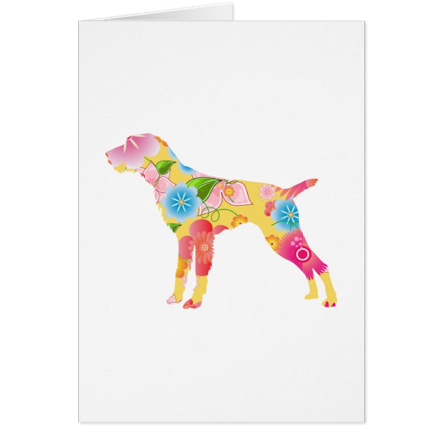 German Wirehaire Pointer (Voorkant)