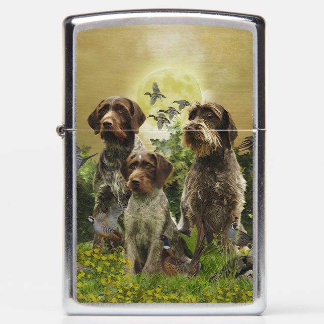 German Wirehaire Pointer (Voorkant)