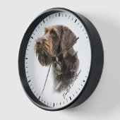 German Wirehaire Pointer (Hoek)