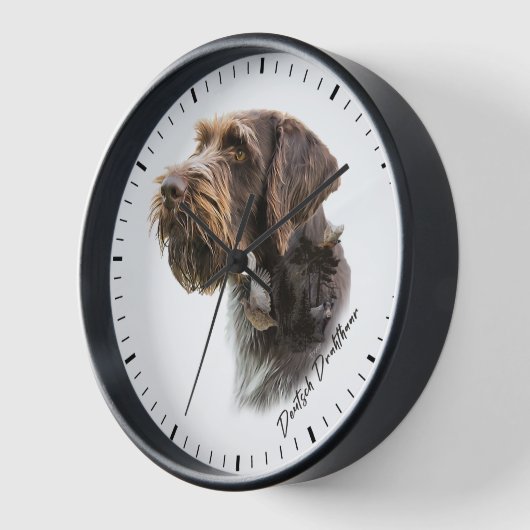 German Wirehaire Pointer (Hoek)