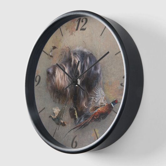 German Wirehaire Pointer (Hoek)