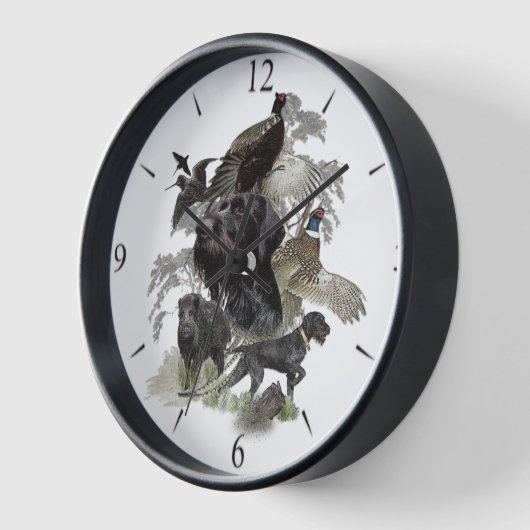 German Wirehaire Pointer (Hoek)